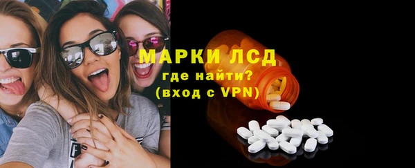 дживик Карпинск
