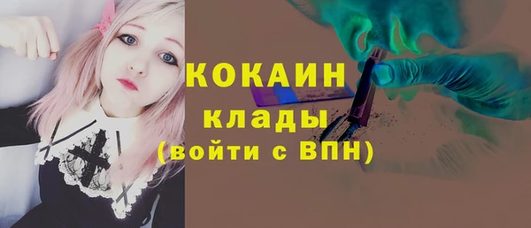 дживик Карпинск