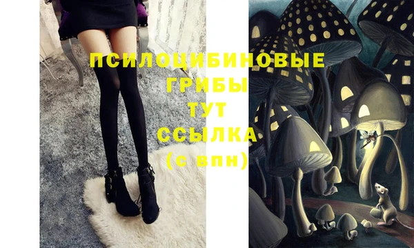 не бодяженный Касимов