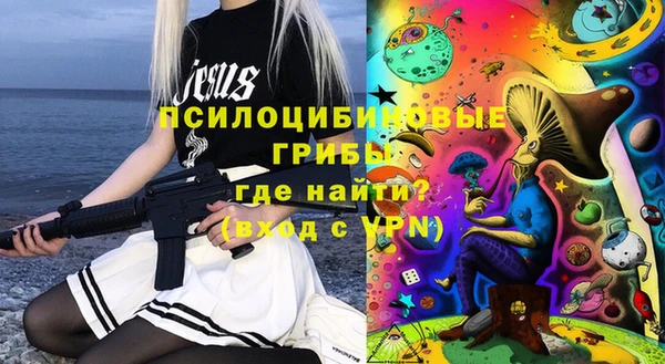 крисы Карталы