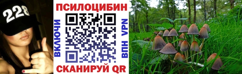 Купить закладки  Карпинск  Псилоцибиновые грибы Psilocybe 